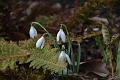 20 02 12_6148_edited-1